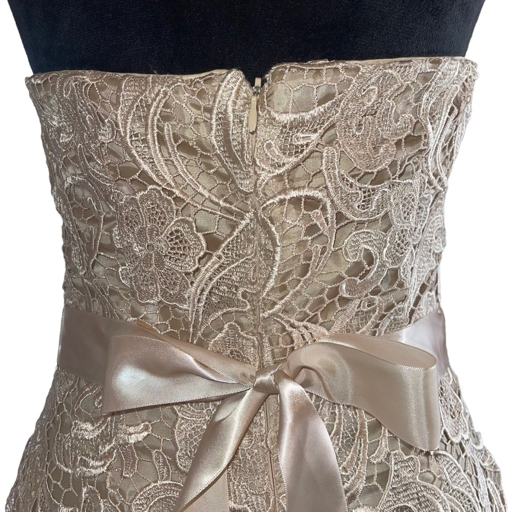 Adrianna Papell Boutique Women’s Sheath Dress Champagne Lace Over Lay Size 8 - Picture 8 of 10